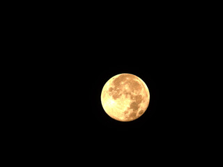 Wall Mural - bright full moon