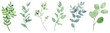 Leinwandbild Motiv Leaves watercolor set. Hand painting floral illustration. Green leaf, plants, foliage, branches isolated on white background.	