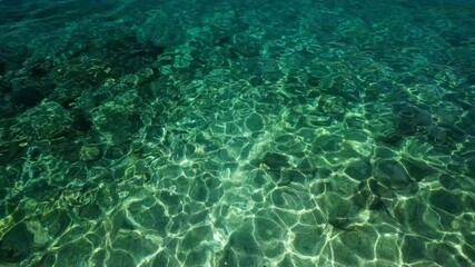Wall Mural - waves as a background. summer. rest and relaxation. nature video as background. sunlight at the day 