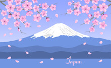 Japanese Landscape With Blooming Sakura Flowers Branches And Mount Fuji