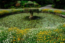 Sri Lanka - Kandy Royal Botanic Gardens Fountain With Flowers