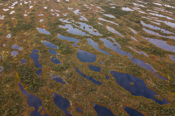 Wall Mural - Aerial view of swamp and wooden path in Kemeri national park during sunrise, Latvia.