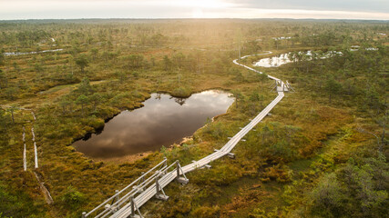Wall Mural - Aerial view of swamp and wooden path in Kemeri national park during sunrise, Latvia.