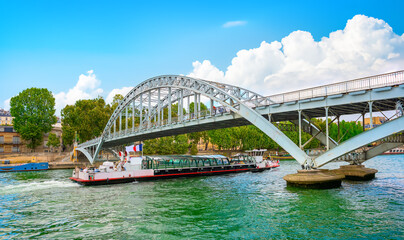 Wall Mural - parisian debilly bridge