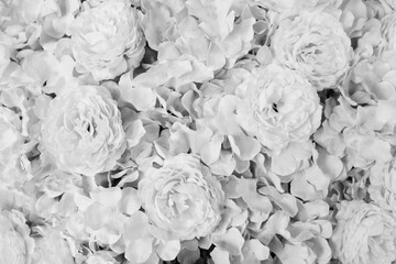 Wall Mural - Pattern of flower or flora background in black and white tone. Beauty in nature and natural wallpaper concept