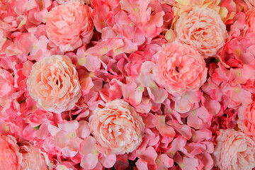 Wall Mural - Beautiful Pattern of pink flower background. Beauty of nature and Natural wallpaper. Flora at garden park.