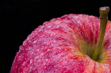 Royal gala apple, covered by water drops on black background. Macro photography of the red apple covered by water drops.