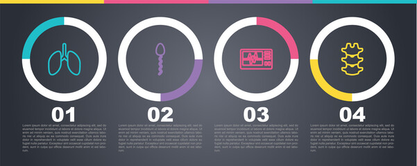 Sticker - Set line Lungs, Sperm, Monitor with cardiogram and Human spine. Business infographic template. Vector