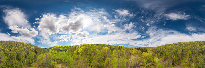 Wall Mural - pfaelzer forest 360° airpano