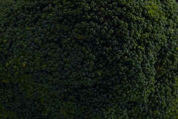 Broccoli close-up.