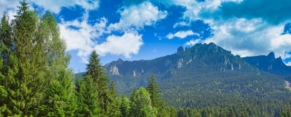 Wall Mural - Ceahlau mountain in summer landscape, Romania