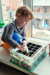 Little Caucasian boy 2 years old watering seedlings from a spray