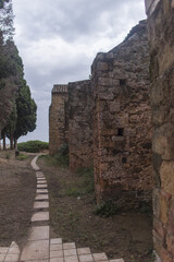 Wall Mural - Vertical shot of a path leads to the entrance of a castle in the Catalan region Spain