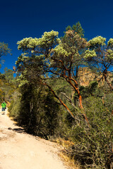 Pinnacles National Park in Central California