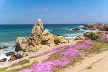 View Of The Pacific Ocean And The Blooming Shore, Lovers Point Park, Monterey