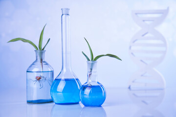 Plant laboratory experimental, Chemical glassware