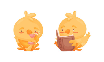 Poster - Cartoon Yellow Chicken Drinking Tea and Reading Book Vector Set