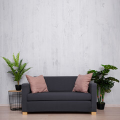 Sofa and plants with copy space over grey wall