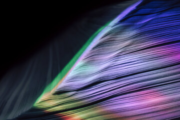 Poster - Close up Beautiful book pages in the multi color light on a night. Background pattern for design. Macro photography view.