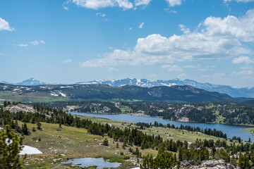 Wall Mural - An overlooking view of nature in Custer National Forest, Montana