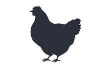 Hen, Chicken. Black White Silhouette Of Chicken Or Hen. Logo, Print, Poster For Butchery Meat Shop, Hen Silhouette. Template For Meat Business, Meat Shop, Restaurant Menu. Vector Illustration