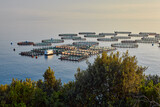 Fototapeta Miasto - Sea fish farm. Artificial fish farming in Europe