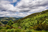 Fototapeta Sawanna - Majestic Landscape Of Forest And Mountains.
Landscape Of Sierra De Gata Located North Of Caceres In Extremadura-Spain. Landscape Concept