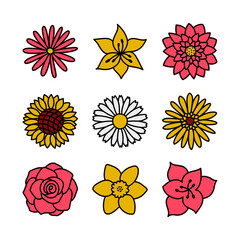 Poster - Color flower. Doodle vector set. Hand drawn cartoon sketch floral collection. Types of flowers. Chamomile, rose, sunflower, aster, amaryllis, daffodil, lotus, lily and gerbera