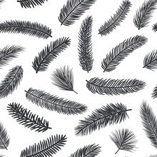 Black And White Seamless Pattern With Fir Pine Evergreen Conifer Twigs Branches