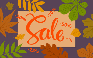 Wall Mural - autumn sale promotional background template with forest fall leaves border