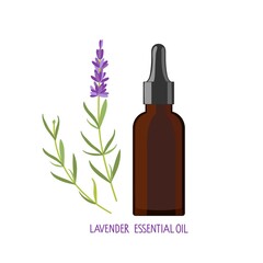 Wall Mural - Lavender essential oil. Lavender plant and medical bottle of dark glass. Vector flat grass lavender Illustration. Healing and cosmetics herb. Medical plant. For natural and organic products.