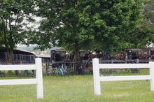 Buggies Horses And Bicycles Parked By White Fence For Sunday Meeting In Daylight With Trees And Green Grass