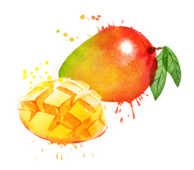 Wall Mural - Watercolor vector illustration of mango