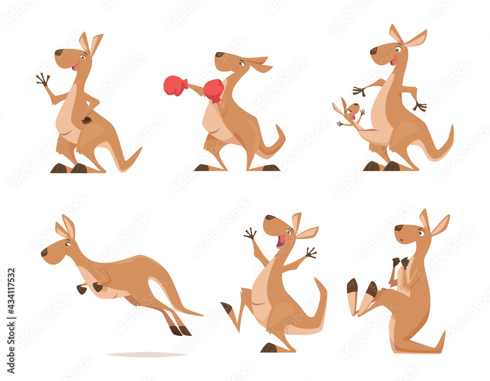 Kangaroo. Tropical wild animal kangaroo from australia exact vector cartoon funny characters isolated - obrazy, fototapety, plakaty 
