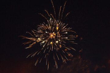 Bright fireworks in the night sky