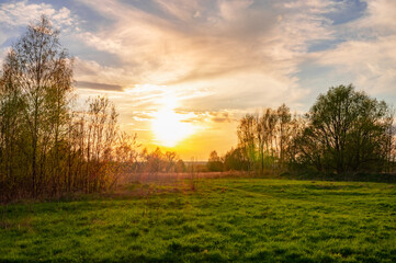 Canvas Print - ray of sunshine through the tree