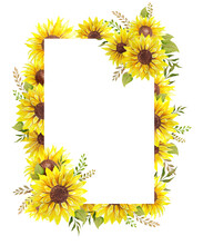 Floral Frames With Sunflowers And Leaves. Watercolor Sunflower Frame. White Background. Watercolor Floral. Botanical Drawing.