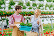 © Iryna - Customer service in the plant store concept. Flower seller man helping female buyer to choosing plants in box for balcony female customer in garden centre or greenhouse.