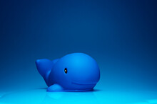 Creative Composition Of Toy Dolphin Placed On Blue Surface For Ocean Concept In Studio