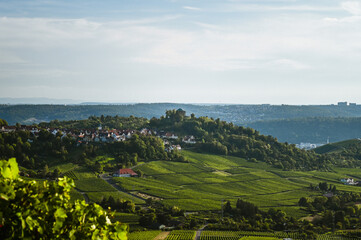 Wall Mural - Beautiful view of a vineyard panorama with a funerary chapel on a hill in the background near Stuttgart, Germany.