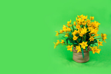 Yellow forest tulips in a ceramic brown vase on a green background. The basis for the postcard. Mother's Day, 8 March.