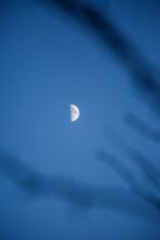 Vertical Shot Of The Half-moon In A Clear Sky