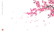 Blossoming Sakura Branch And Falling Petals. Traditional Oriental Ink Painting Sumi-e, U-sin, Go-hua. Hieroglyph - Clarity.