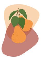 Pear branch isolated on a background of various shapes.