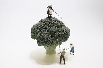 a mini of farmer on Harvesting Broccoli