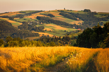  A warm summer sunset in the Rożnowskie Foothills, near Nowy Sącz. Poland, Lesser Poland Voivodeship.
