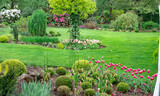 Fototapeta Tulipany - Zielony ogród pełen kwitnących kiatów