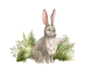 Bunny in the grass. Watercolor illustration. Cute bunny sit in the meadow grass on white background. Rabbit in the meadow or field herbs. Fluffy bunny side view. Natural hand drawn element