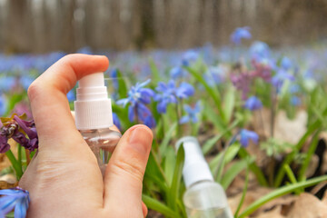 Hand spray clear liquid pump bottle in blooming spring flower lawn of blue Scilla bifolia (squill). Two transparent triggers with water droplet close-up with focus blur