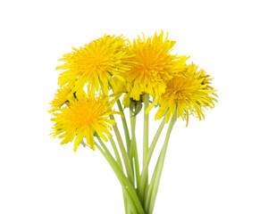 Poster - Bouquet of Dandelion flowers isolated on a white background. Selective focus.